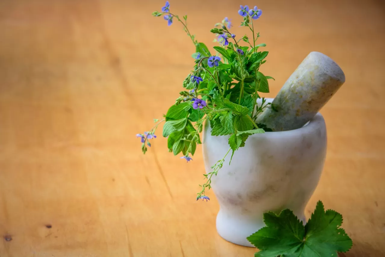 Cannabis and Your Health: Good, Bad, and Everything in Between